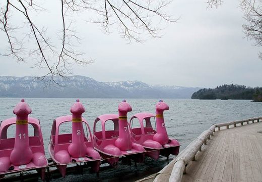 201005021259-DSC07092.jpg