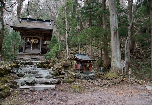 201005021325-DSC07138.jpg