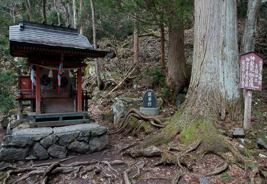 201005021331-DSC07155.jpg