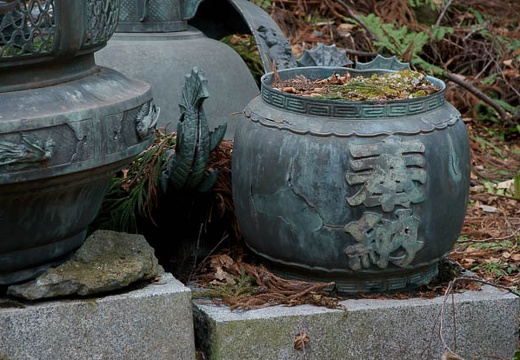 201005021335-DSC07161.jpg