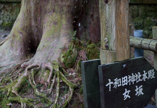 201005021337-DSC07165.jpg