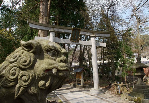 201005021346-DSC07176.jpg