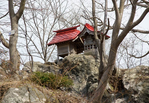 201005021348-DSC07177.jpg