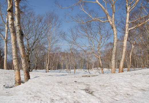 201005021525-DSC07209.jpg