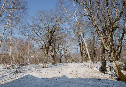 201005021527-DSC07212.jpg