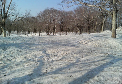 20100502154130-SO902i.jpg