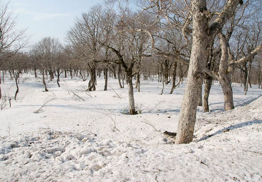 201005021543-DSC07252.jpg