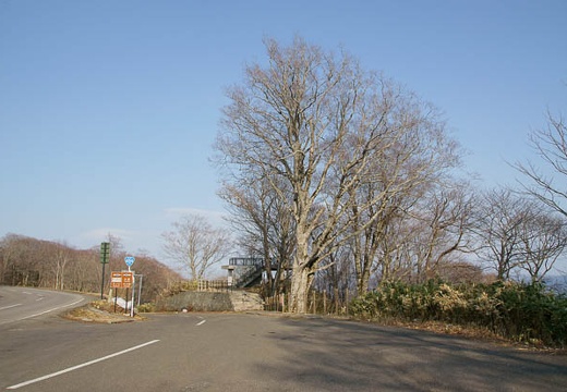 201005021605-DSC07260.jpg