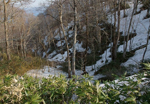 201005021606-DSC07261.jpg