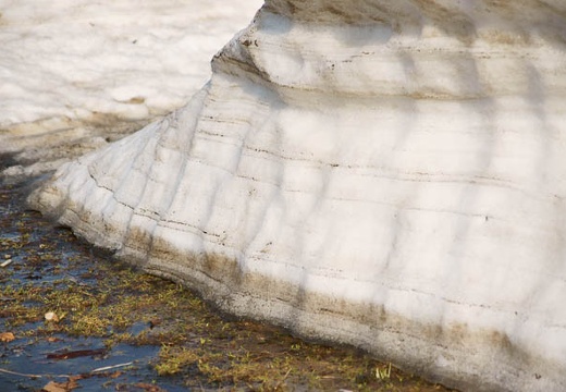 201005021610-DSC07271.jpg