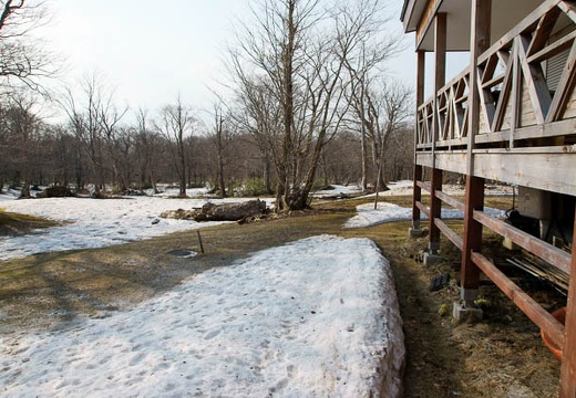 201005021611-DSC07273.jpg