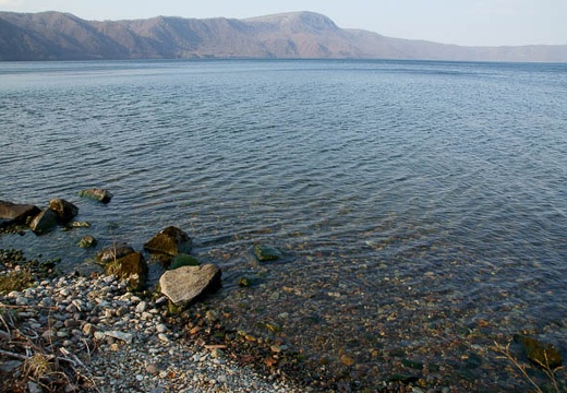 201005021626-DSC07285.jpg
