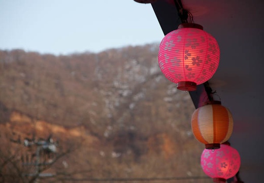 201005021737-DSC07314.jpg