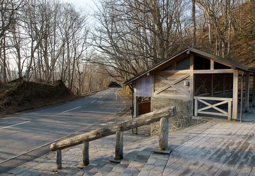 201005030607-DSC07327.jpg
