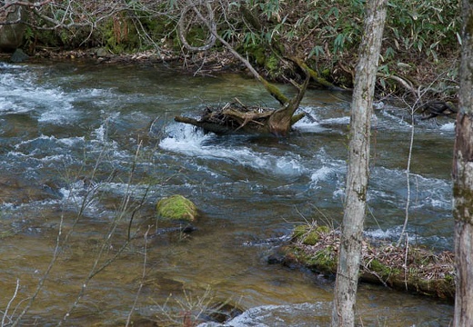 201005030623-DSC07335.jpg
