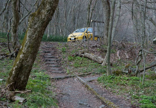 201005030623-DSC07336.jpg