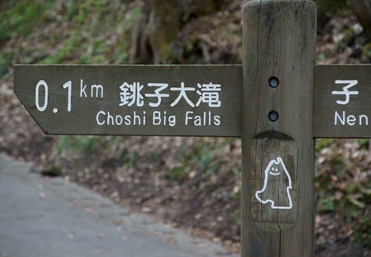 201005030626-DSC07337.jpg