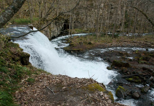 201005030627-DSC07339.jpg