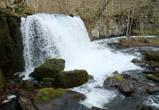 201005030628-DSC07340.jpg