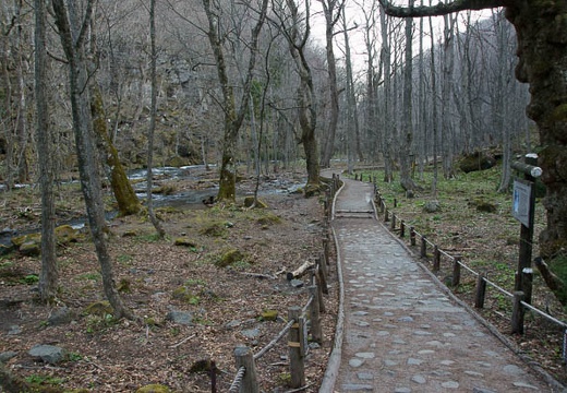 201005030630-DSC07351.jpg