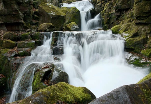201005030636-DSC07371.jpg