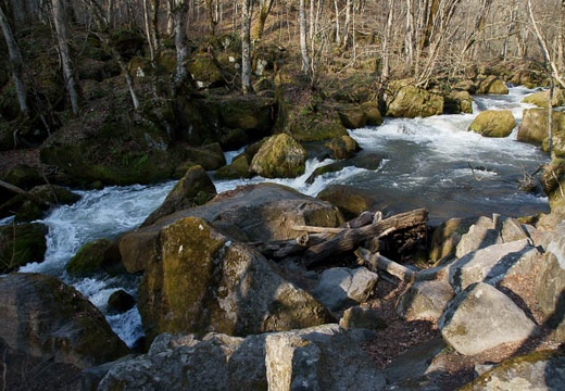 201005030648-DSC07378.jpg
