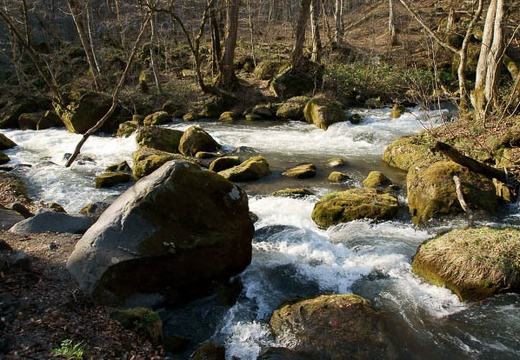 201005030652-DSC07389.jpg