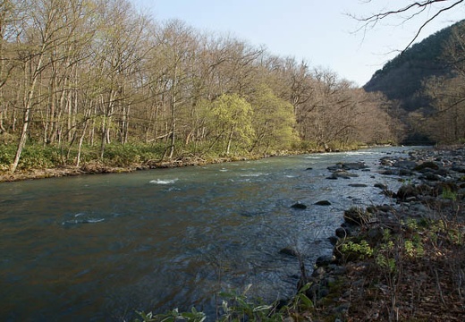 201005030659-DSC07391.jpg