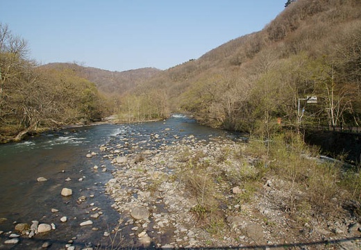 201005030705-DSC07397.jpg