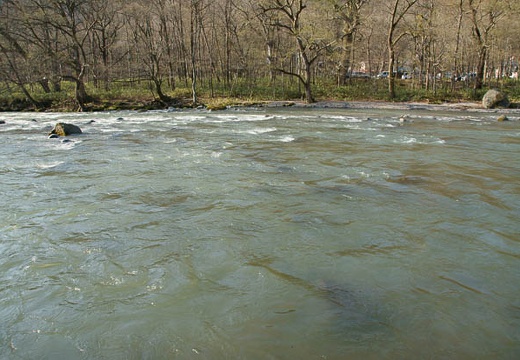 201005030710-DSC07414.jpg