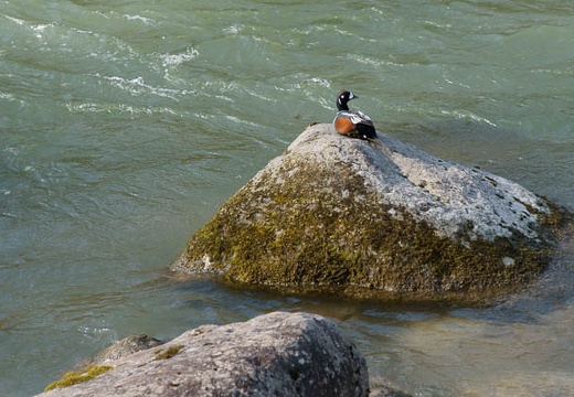 201005030712-DSC07418.jpg
