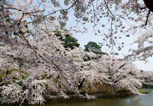 05.03 館鼻公園、蕪島神社、八戸公園