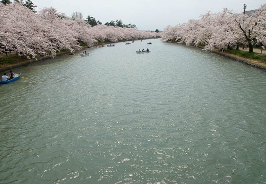 201005031245-DSC07768.jpg