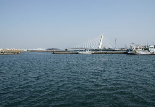201005040829-DSC08130.jpg