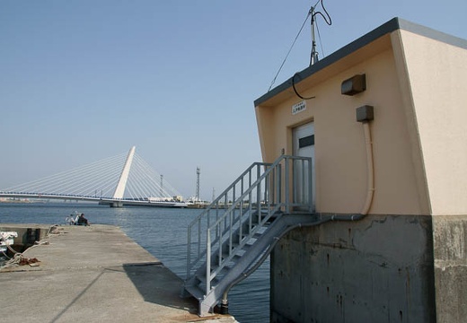 201005040833-DSC08138.jpg