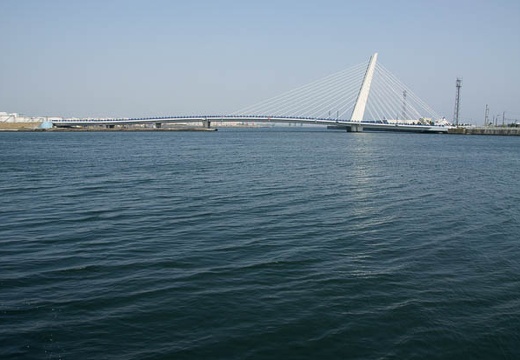 201005040834-DSC08140.jpg