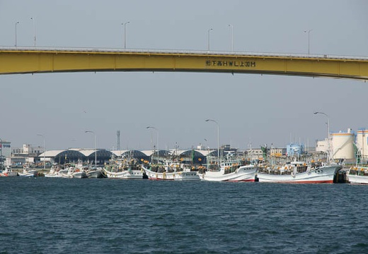 201005040837-DSC08146.jpg