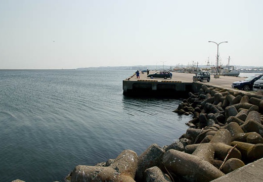201005040838-DSC08147.jpg
