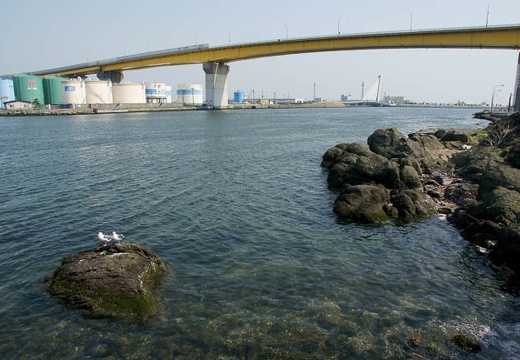 201005040849-DSC08167.jpg