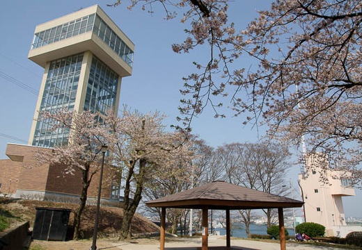 201005040851-DSC08168.jpg