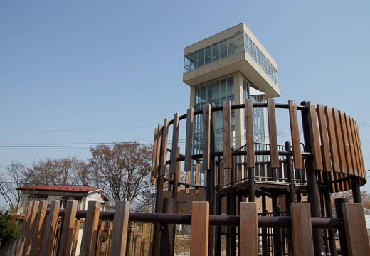 201005040853-DSC08171.jpg