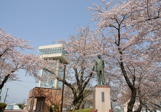 201005040856-DSC08176.jpg