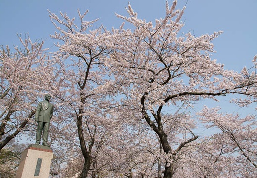 201005040856-DSC08177.jpg