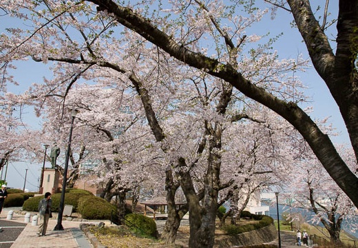 201005040858-DSC08180.jpg