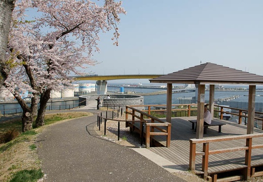 201005040858-DSC08181.jpg