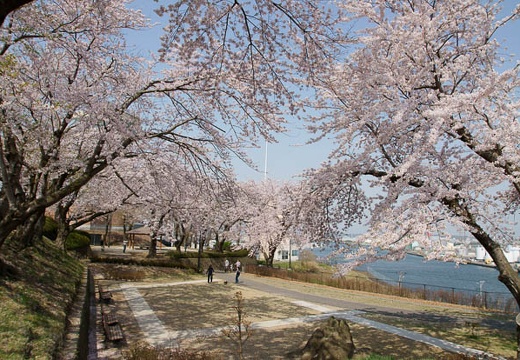 201005040858-DSC08182.jpg