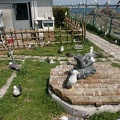 201005041004-DSC08383.jpg