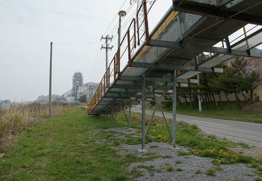 201005050939-DSC08947.jpg