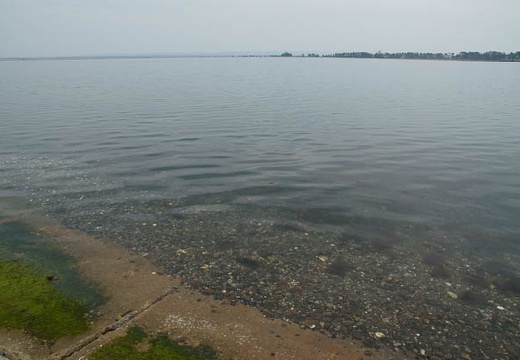 201005051510-DSC09201.jpg