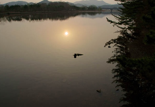 201005051730-DSC09274.jpg